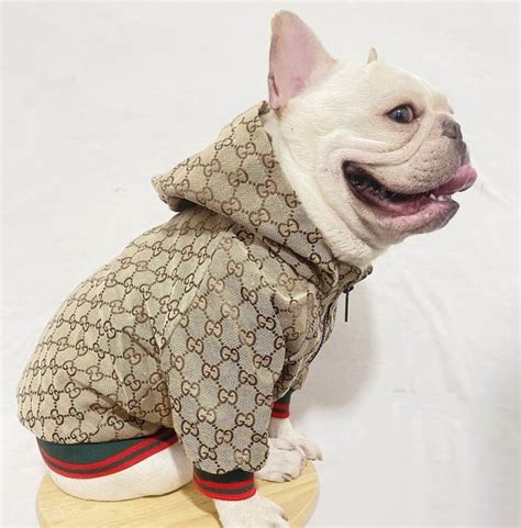 designer dog clothes gucci|designer clothes for small dogs.